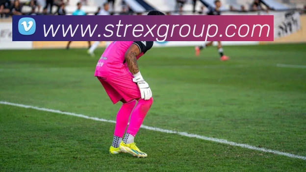 平台使命图
